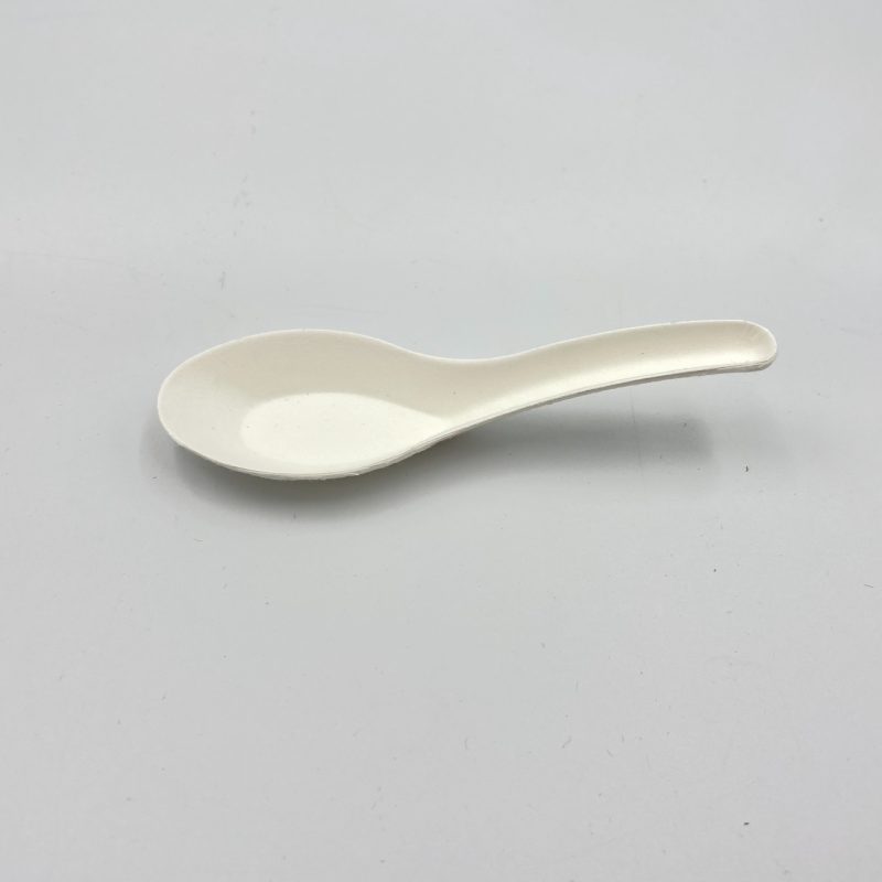 Chinese pulp Spoon Small